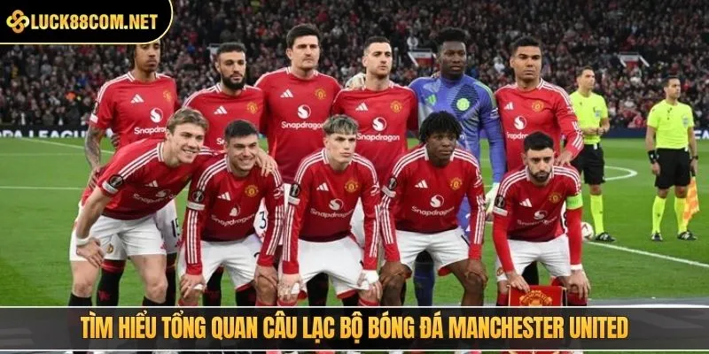 Tìm hiểu tổng quan câu lạc bộ bóng đá Manchester United